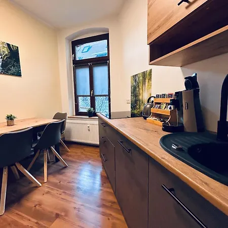 Komfort Trifft Kultur - Premium-apartment Mit Sauna * Wittenberg
