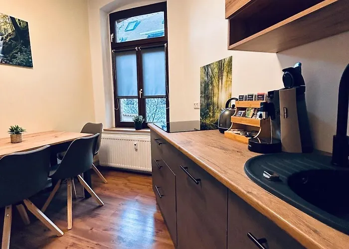 Komfort Trifft Kultur - Premium-apartment Mit Sauna * Wittenberg